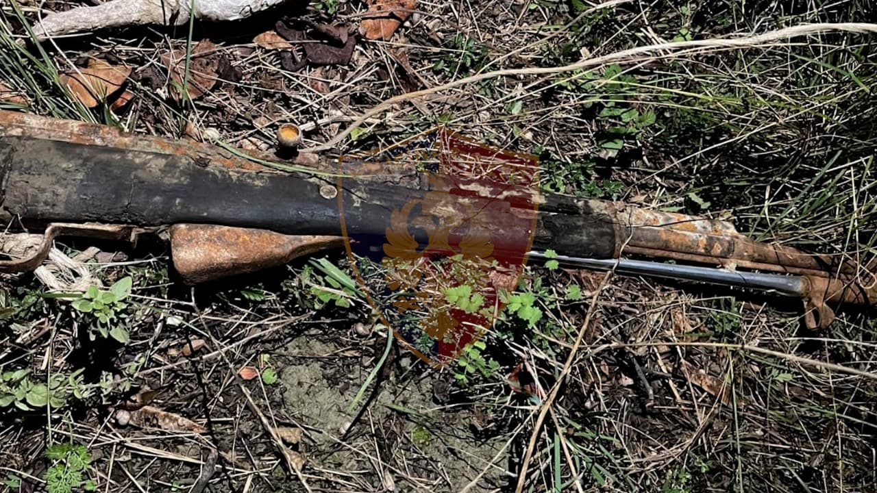 Kanos me armë kushëririn, ndërhyrja e policisë parandalon përshkallëzimin e konfliktit në periferi të Tiranës