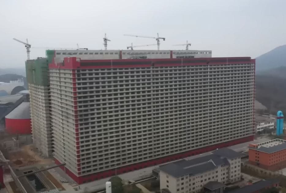 Kina ndërton stallën më të madhe të derrave në botë
