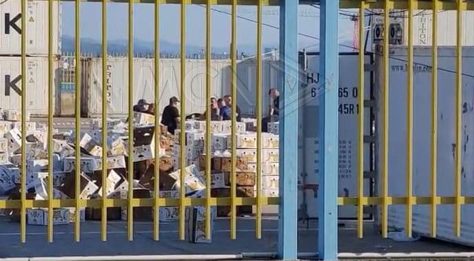   Byroja e Hetimit, SPAK, policia e Kufirit dhe Doganës në Portin e Durrësit/ Kontrollohen 184 kontenierë (VIDEO)