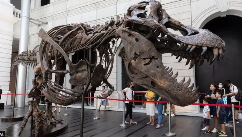 Anulohet ankandi i T. Rex, ngrihen dyshime mbi skeletin