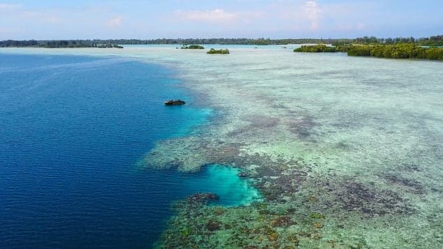 Dalin në ankand një grup ishujsh indonezianë