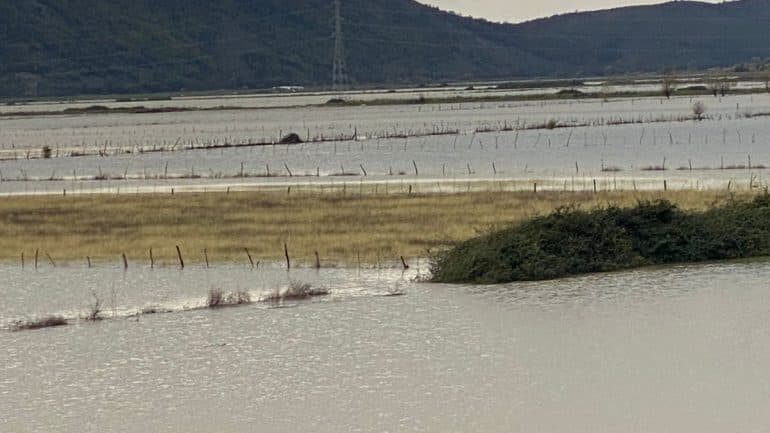 Situata në Lezhë/ 880 ha tokë bujqësore të përmbytura, uji tërhiqet nga banesat