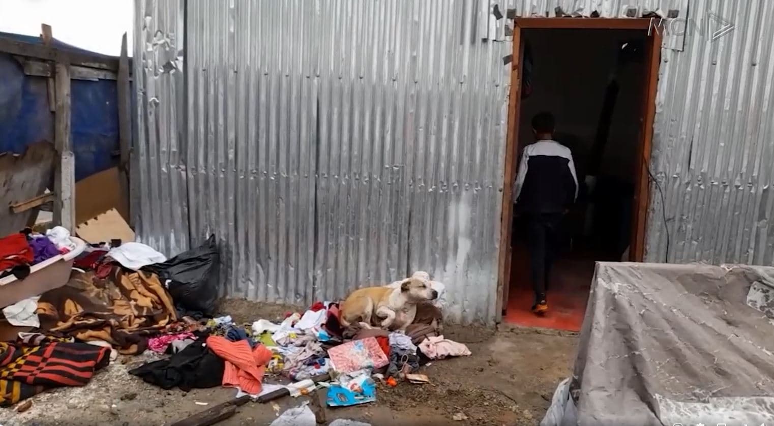  Kushtet ekstreme ku jeton kumuniteti rom në Durrës/ Të flesh mes minjve dhe mbetjeve (VIDEO)