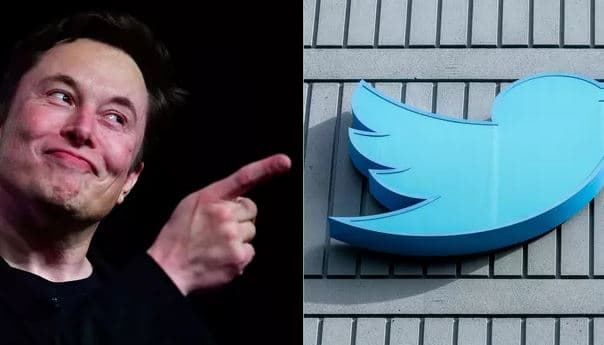 Elon Musk do të fshijë 1.5 miliardë llogari joaktive në Twitter