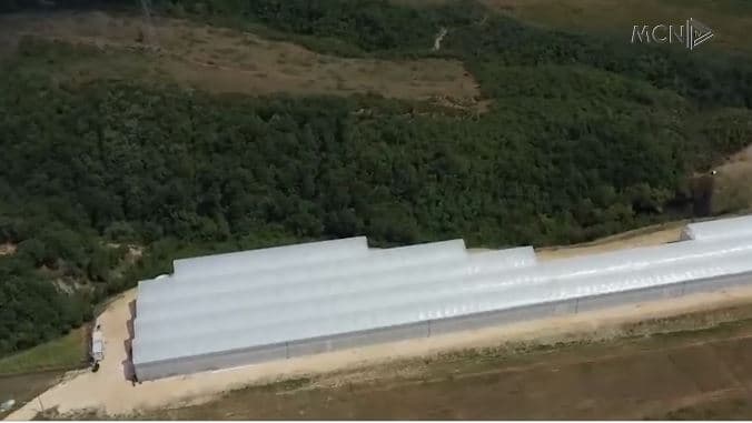 Sekseri “Ahmetaj” negocioi kontratat e Zotos/ Balla: S’bëhemi mburojë, nuk ndikojmë te drejtësia (VIDEO)