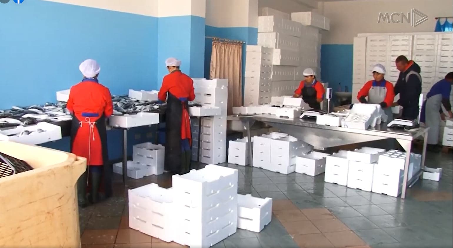 Nismë për ndryshimin e kodit të punës/ 44% e bizneseve, leje pa pagesë (VIDEO)