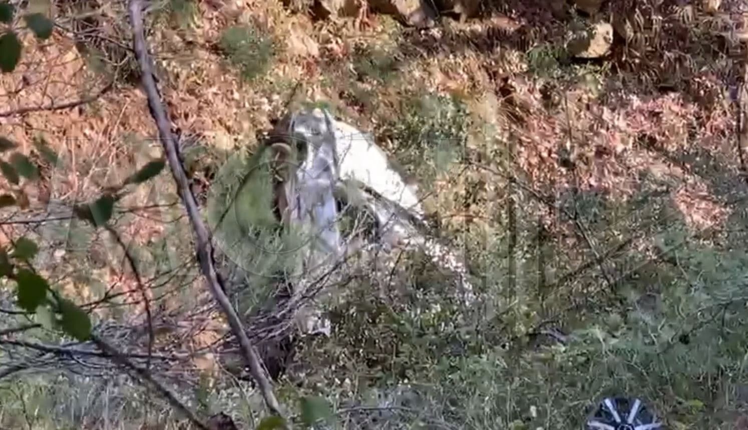 Makina del nga rruga në Elbasan, një i vdekur dhe tre të plagosur (VIDEO)