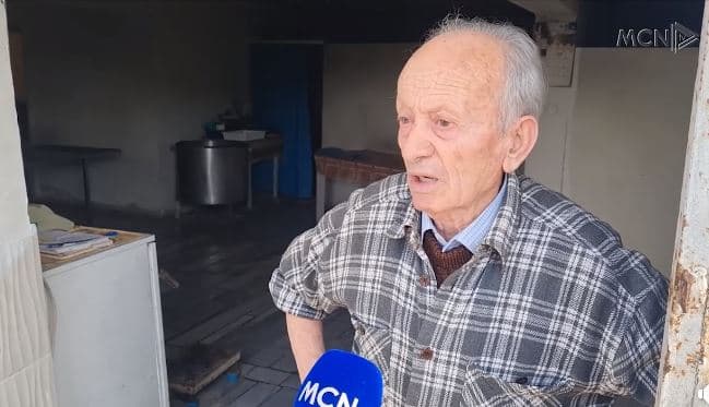 Baxhot në vështirësi për qumësht. 85-vjeçari në Lushnjë: Duhen 6 kuintal bulmet në ditë