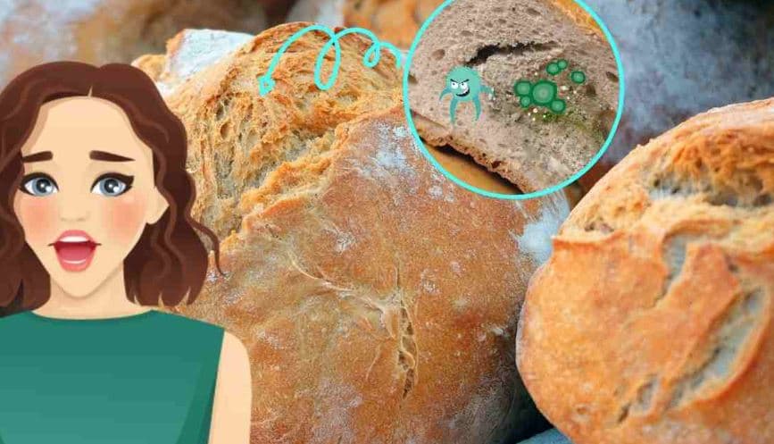Vendi më i keq dhe ai i duhuri për të ruajtur bukën