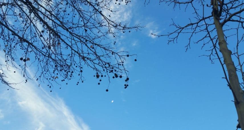 Kthjellime dhe vranësira, njihuni me parashikimin e motit për sot
