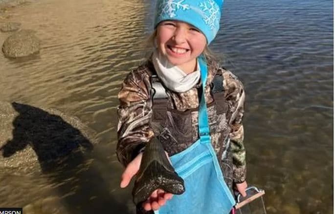 9- vjeçarja gjen dhëmbin e peshkaqenit megalodon, në plazhin e Maryland