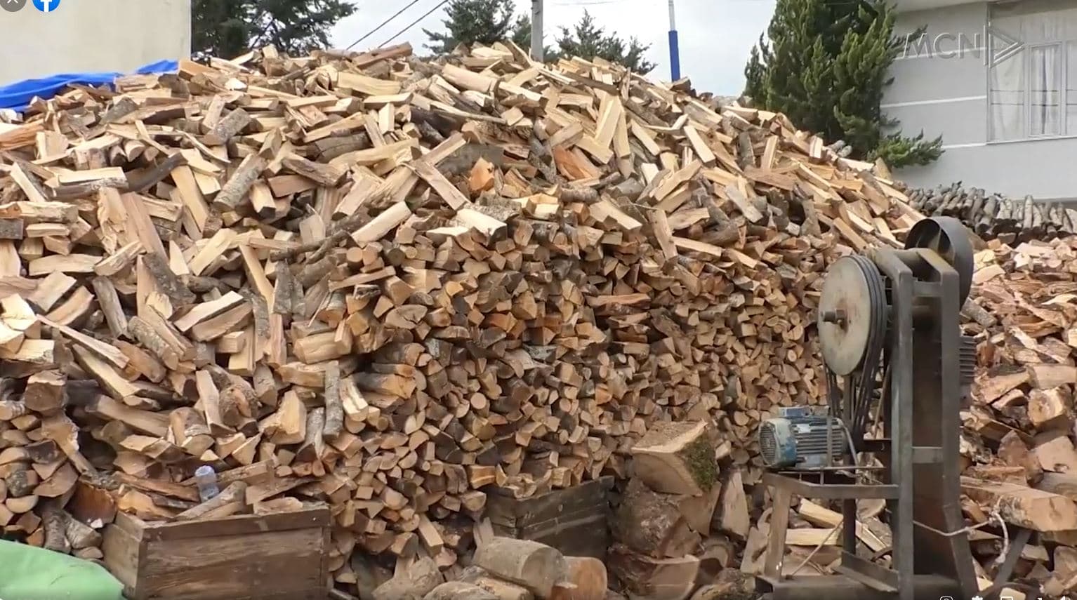 Dyfishohet çmimi i druve/ Tregtarët: Kërkesa të ulëta krahasuar me vitet e tjera (VIDEO)