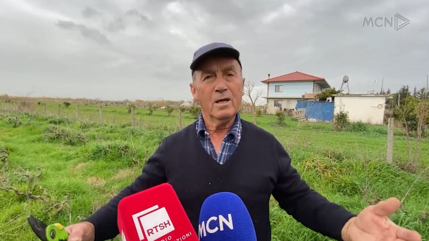 Insektet dëmtojnë fruti-kulturën (VIDEO)