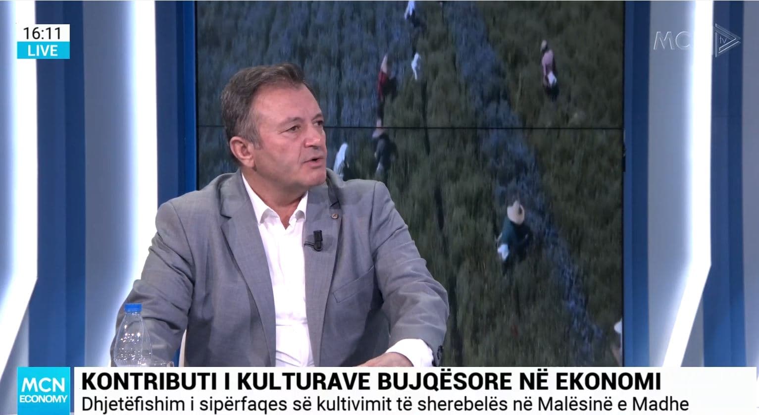 Kulturat e reja bujqësore/ Merja: Fermerët hasin probleme pas korrjes! Shteti të subvencionojë të rinjtë