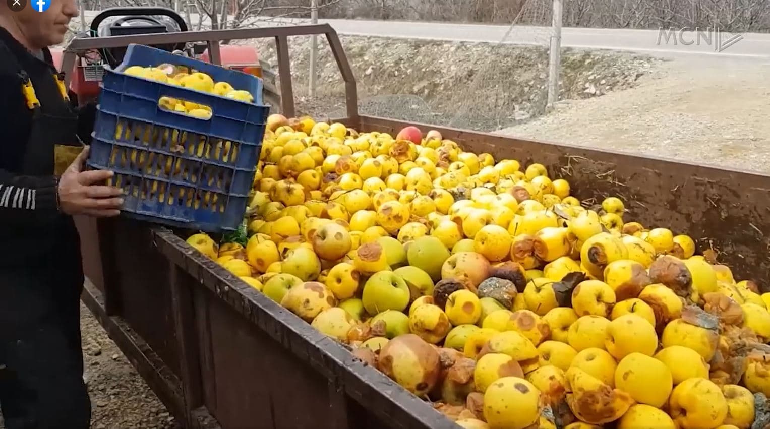 Bujqësia pa punëtorë dhe agronomë/ Krifca: Nismë për angazhimin e të rinjve në bujqësi (VIDEO)