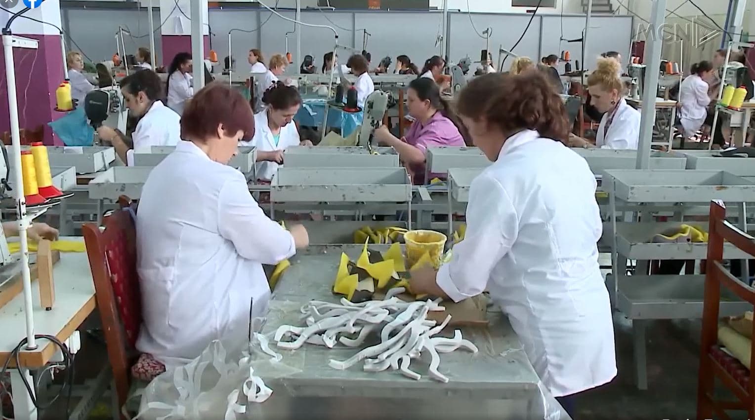  Rreth 9000 të huaj të punësuar në Shqipëri/ Sektori i preferuar, ndërtimi dhe bujqësia (VIDEO)