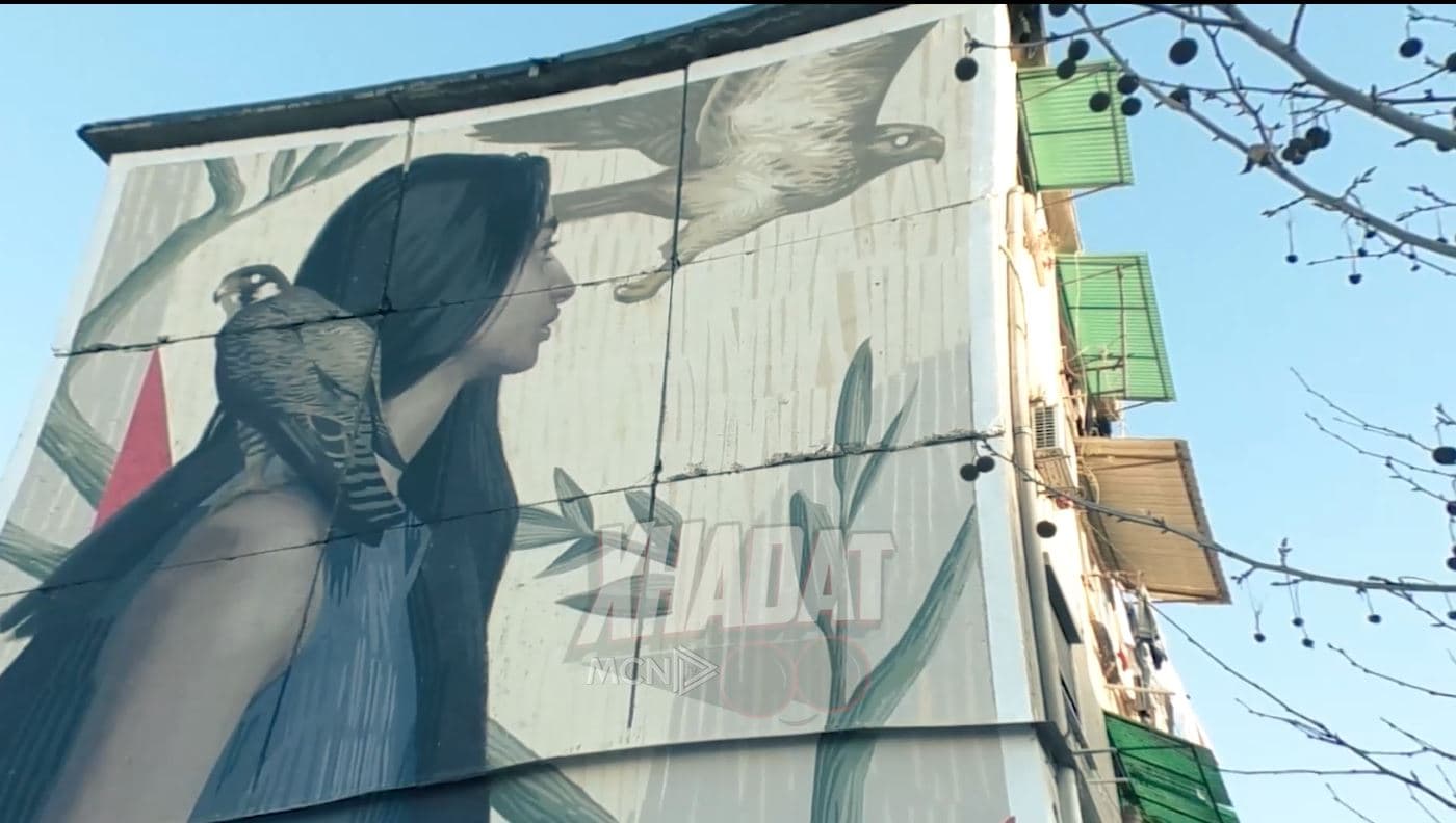 Xhadat/ Muralet në Tiranë: Eksperti duhet të fshihen