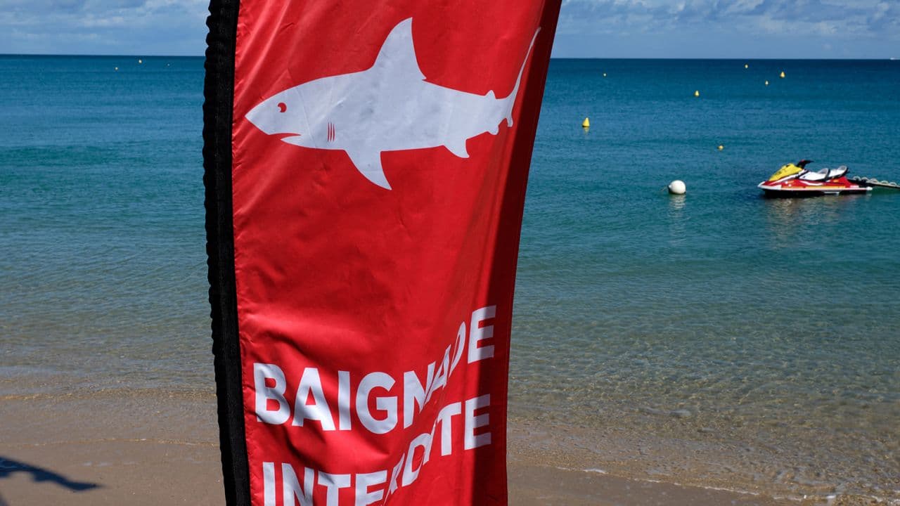 Sulmohet nga peshkaqeni, humb jetën turisti australian