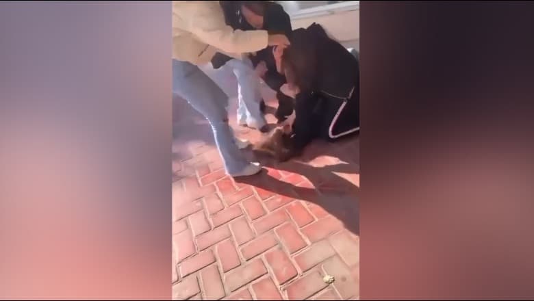 U konfliktuan me njëra-tjetrën, policia shoqëron 3 të miturat dhe djalin që i filmonte