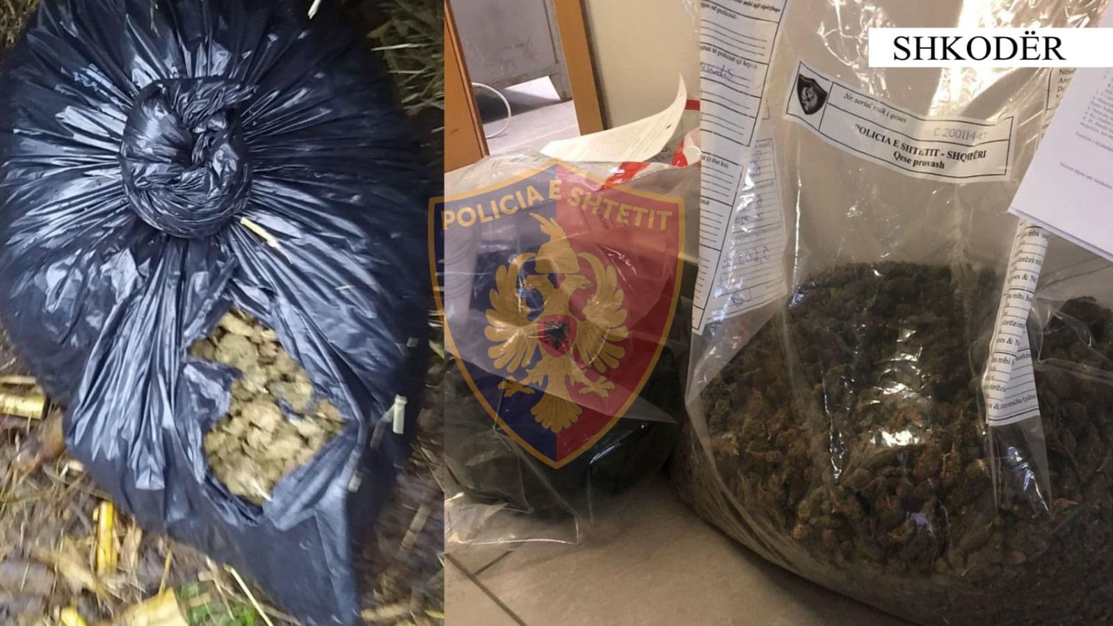 Arrestohen 7 persona në Shkodër, policia sekuestron 5.6 kilogramë kanabis