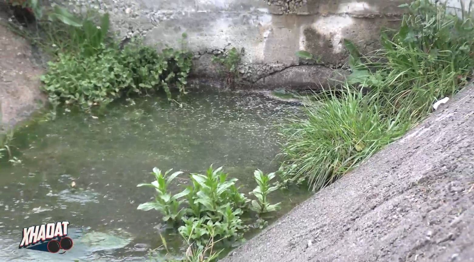 Xhadat- Banorët në Cërrik: Shteti nuk ekziston. Kanalin e ujërave të zeza e pastrojmë duke paguar vetë (VIDEO)