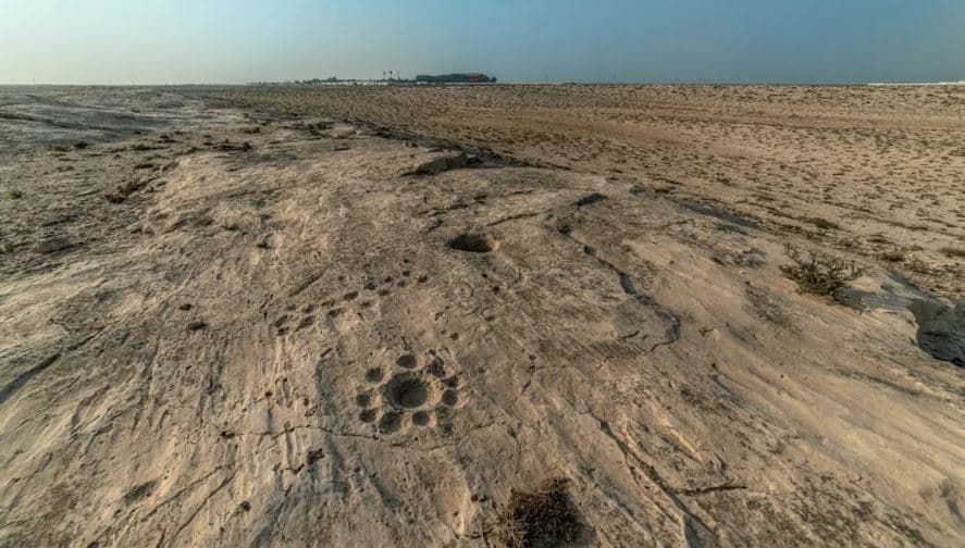 Gjenden simbole misterioze të gdhendura në shkretëtirën e Katarit