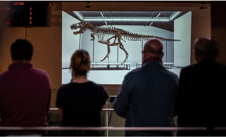 Një skelet T-Rex shitet në ankand për 5.6 milionë euro