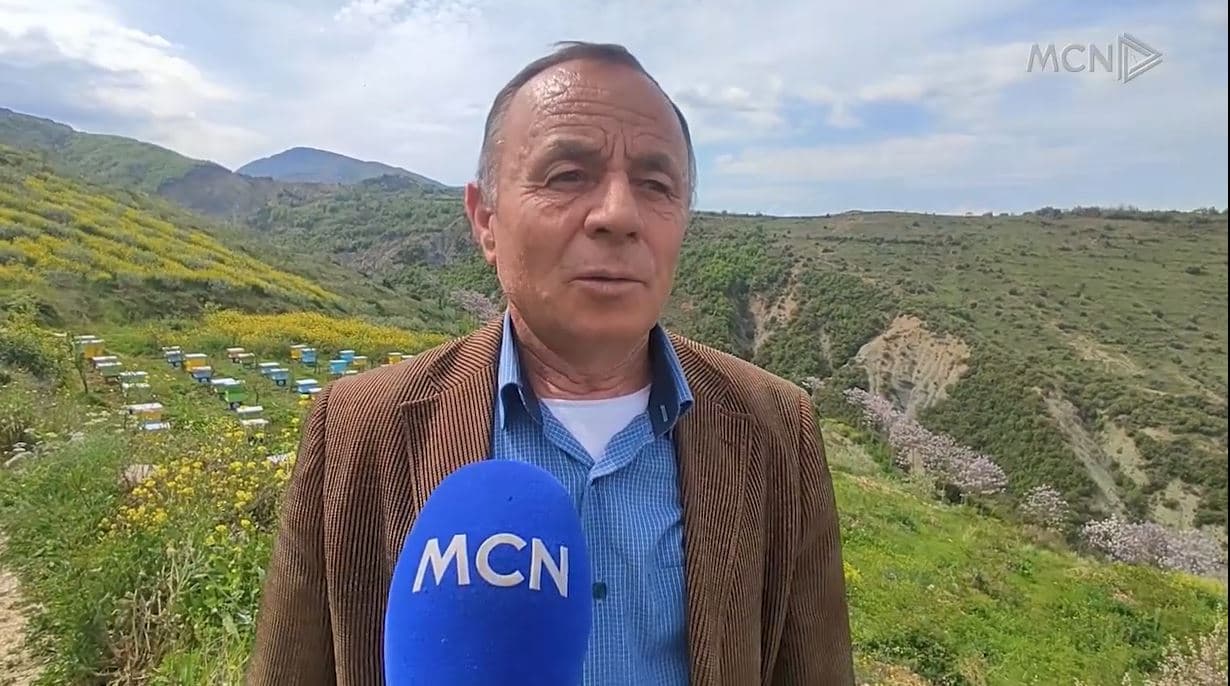 Kujdeset për 500 koshere me bletë. Enver Dyrma tregon vështirësitë e një bletari