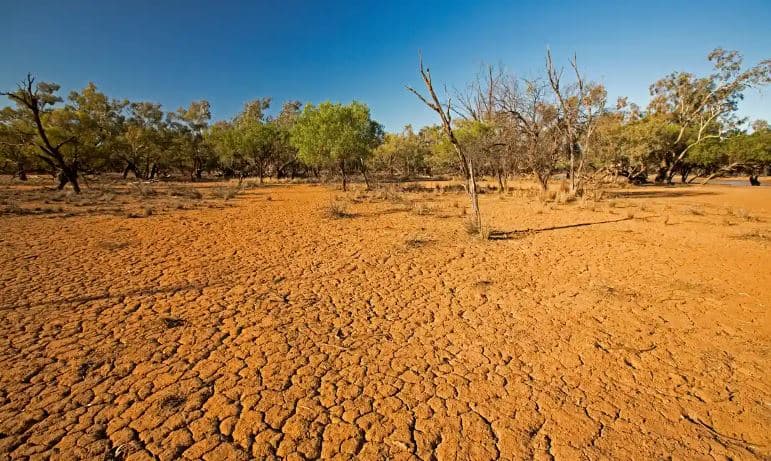 OKB: Po vjen “El Nino”, bota të përgatitet për temperatura rekord