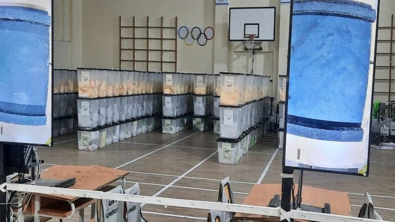 PS kryeson në Lushnjë dhe Kolonjë, ja rezultatet