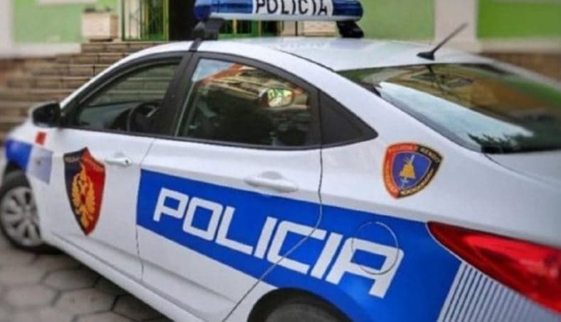 Qarkullonte me armë të ftohtë dhe dokumente të huaja të falsifikuara, arrestohet 19-vjeçari në Devoll