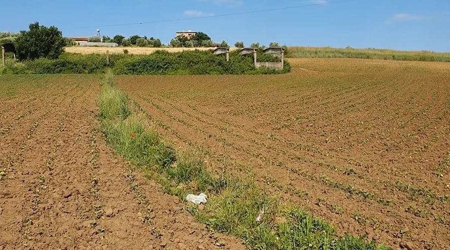 Fshati Gjyral që jeton me kultivimin e duhanit drejt falimentimit