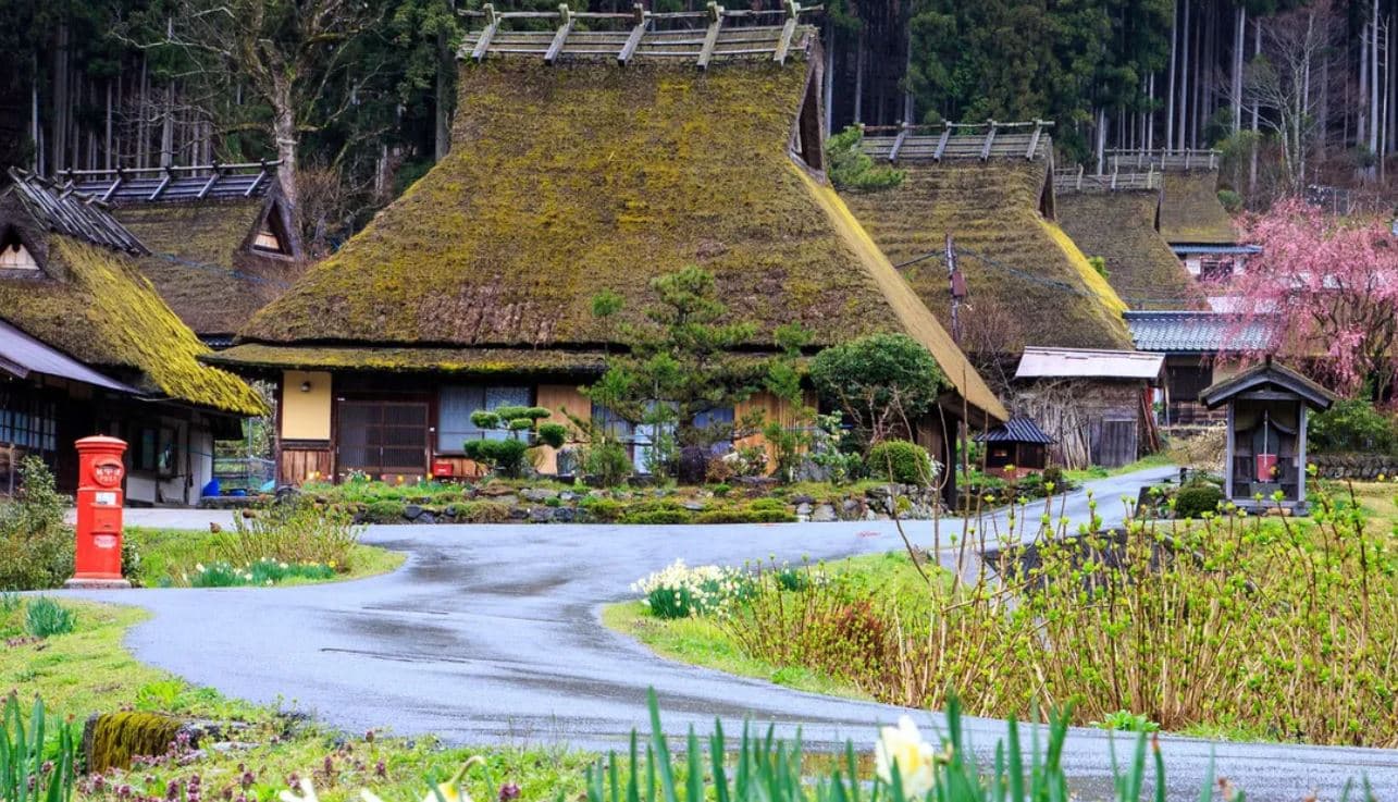 Ndërtesat e Japonisë prej kashte rrezikojnë traditën 5 mijë vjeçare