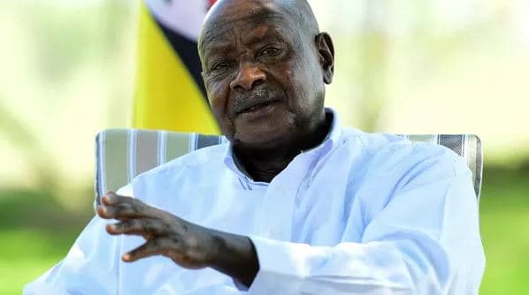 Ugandë/ Presidenti shpall ligjin që kriminalizon homoseksualitetin