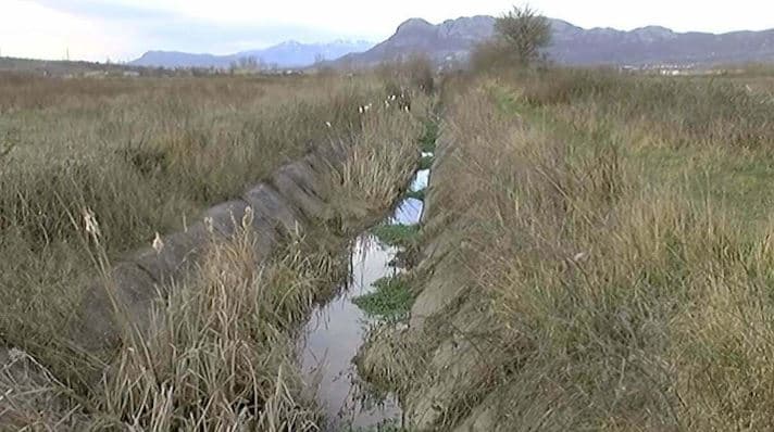 Lushnje/ 59-vjeçari gjendet pa shenja jete në kanal