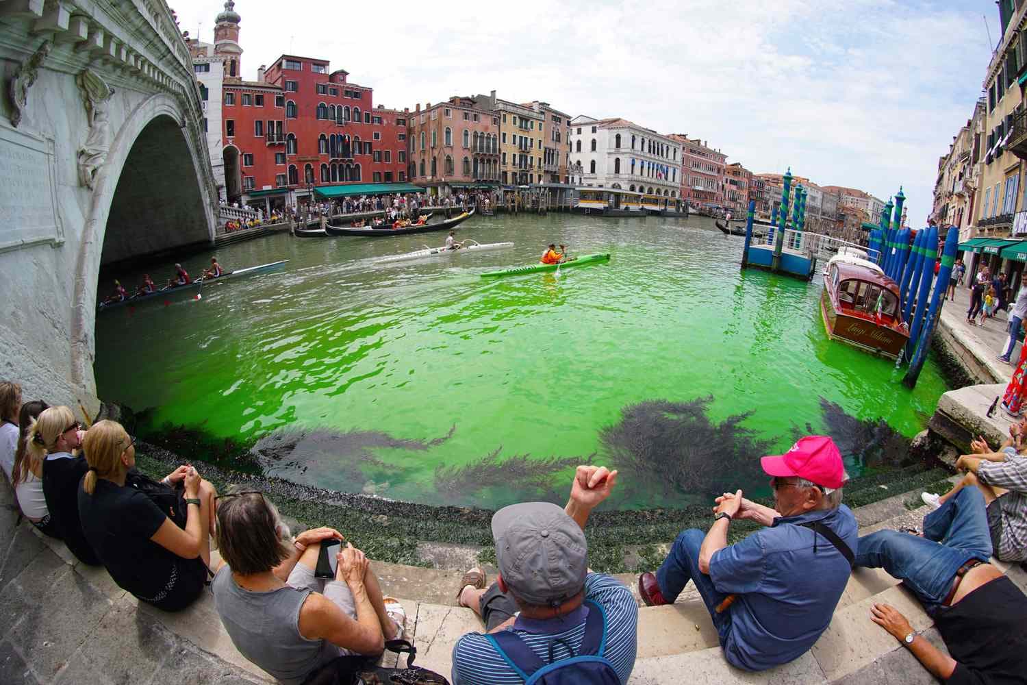 Zbulohet misteri se pse Kanali i Madh i Venecias u kthye në jeshile fluoreshente