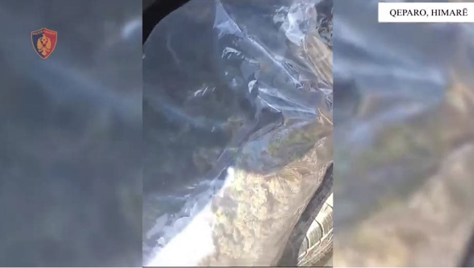 Transportonte 9 kg kanabis me makinë, kapet një person në Qeparo 
