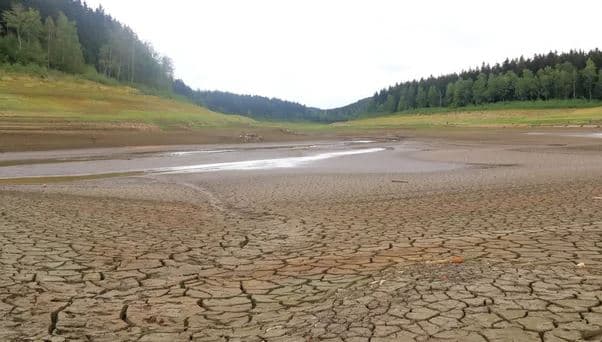 Temperaturat mesatare në fillim të qershorit arritën një rekord botëror