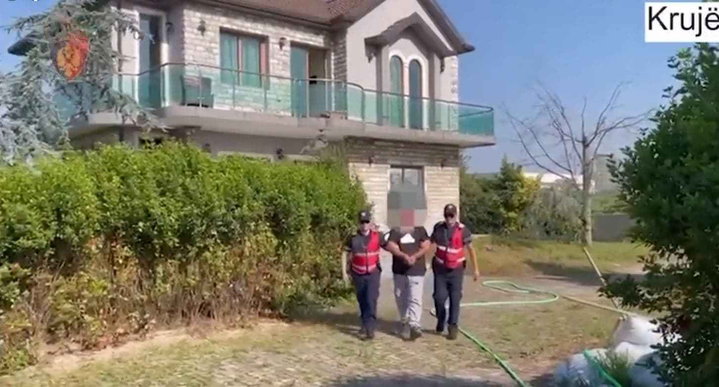 Sekuestrohen 260 fara kanabisi, në pranga 55-vjeçari në Krujë