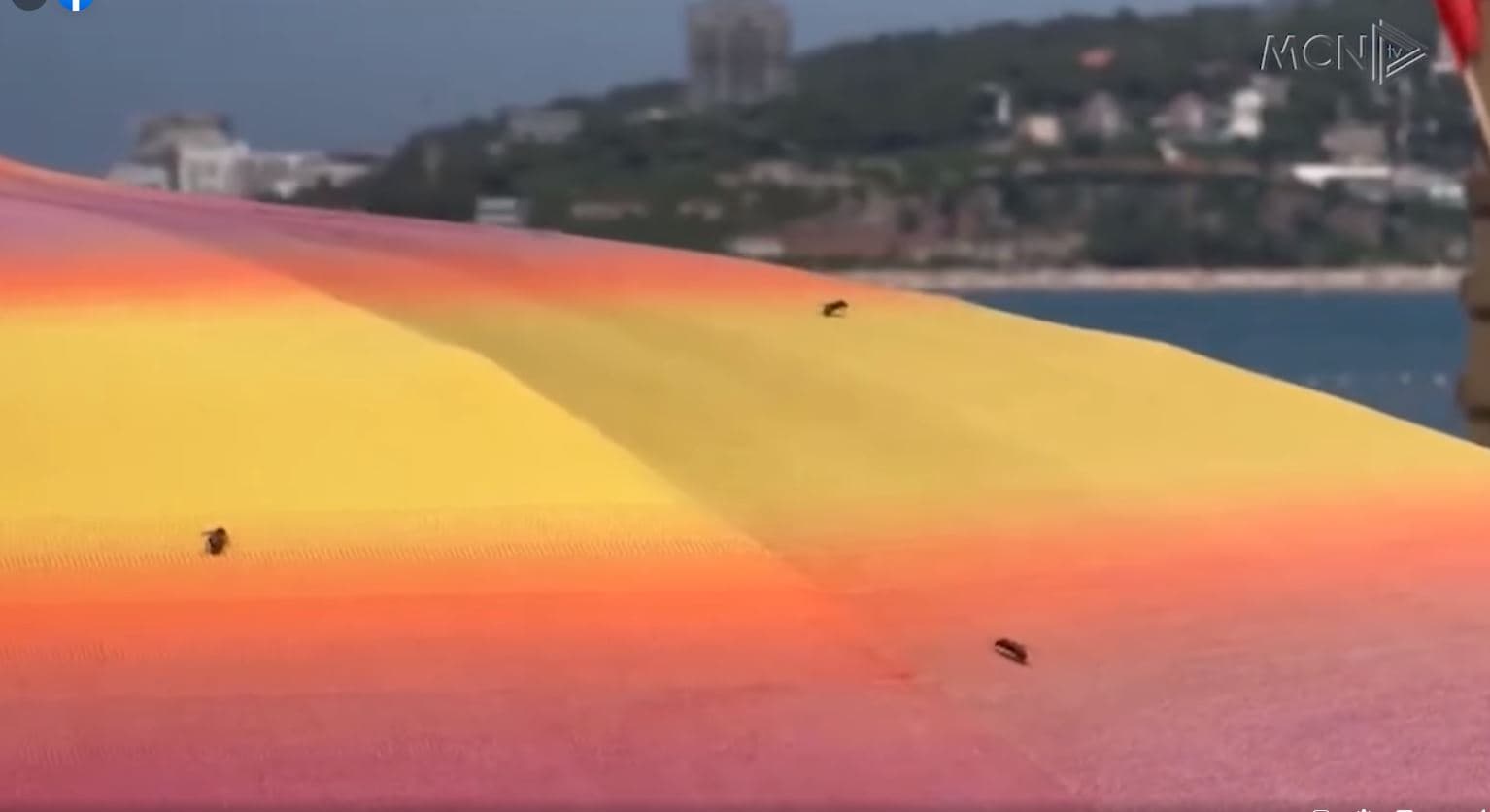  Mushkonja “tigër” pushton Europën/ Shtohen rastet e vdekjeve në Itali e Greqi (VIDEO)