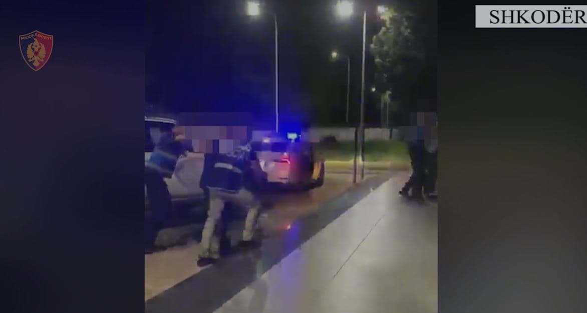 Asgjësohen 1300 bimë narkotike kanabis, në pranga dajë e nip në Shkodër/  Sekuestrohen 2 armë zjarri dhe municion luftarak
