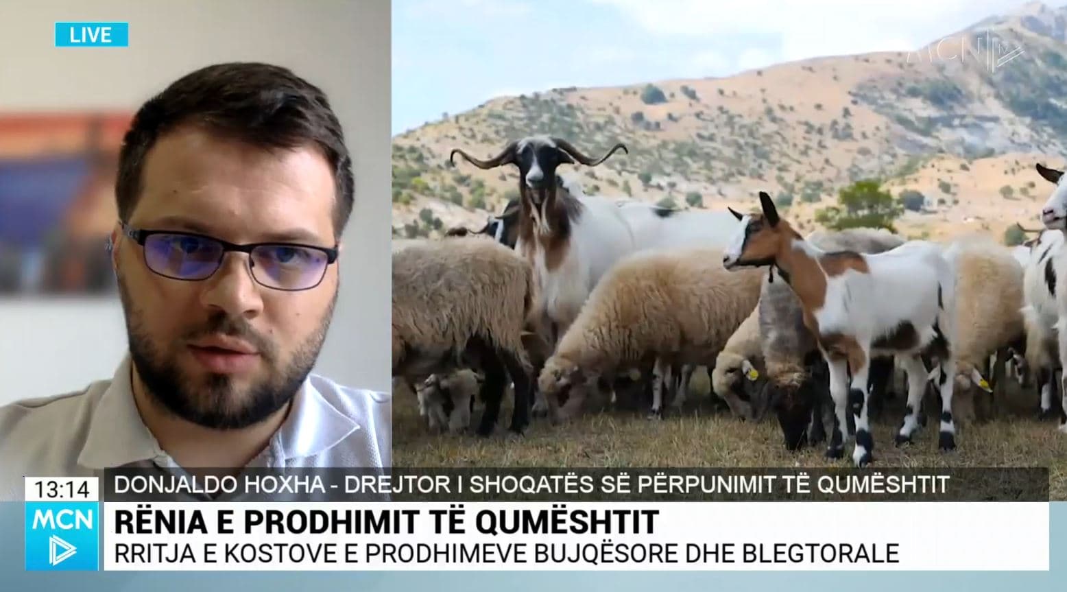 Rënia e prodhimit të qumështit/ Hoxha: Ndikim kryesor informaliteti i lartë, duhet subvencion për prodhimin 