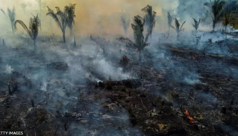 Ndryshimi i klimës, bota shumë larg objektivit për t'i dhënë fund shpyllëzimit