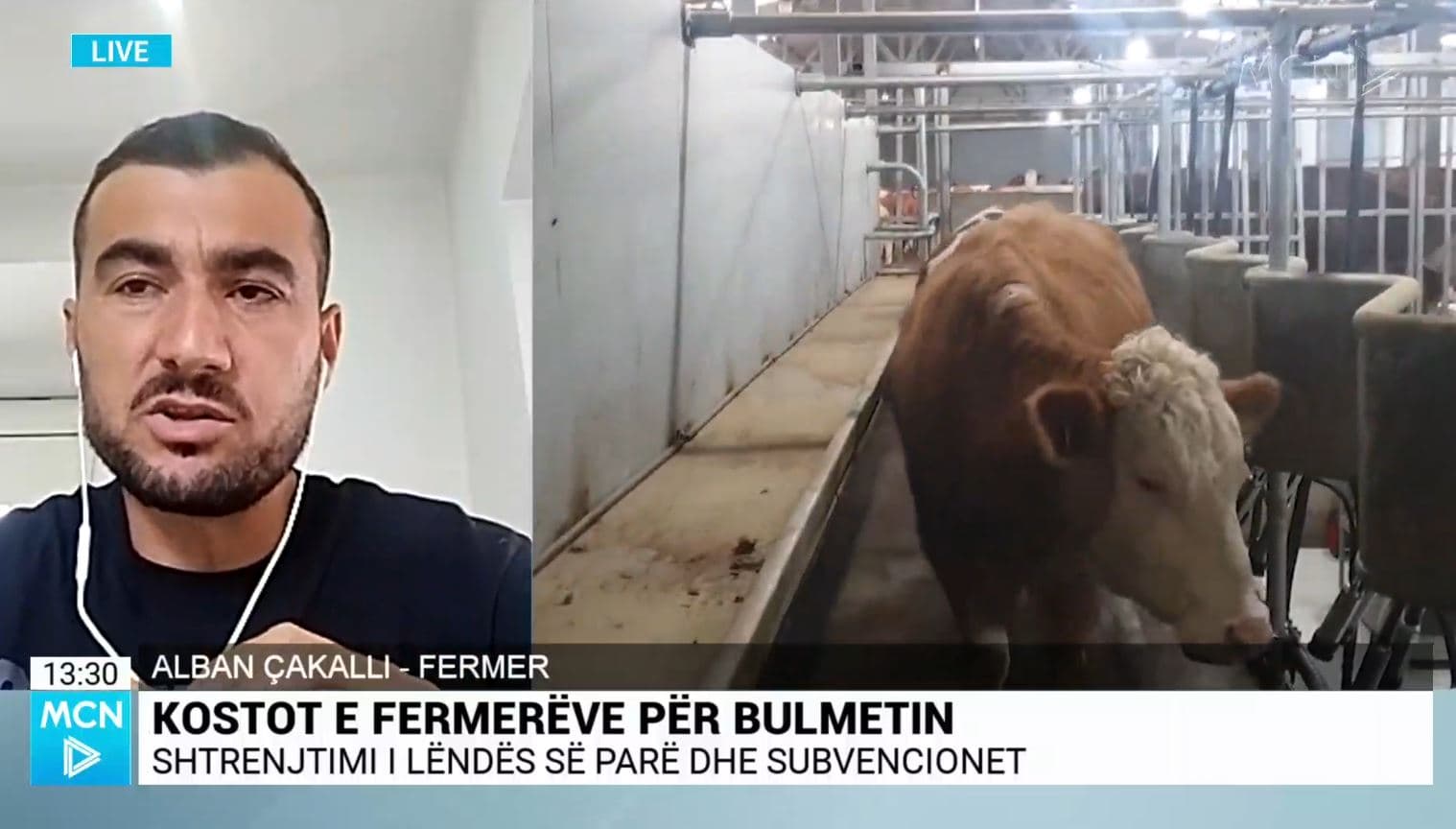 Çakalli: Blegtoria rënie me 5.3%. Vetëm 10-20% e qumështit është vendas, pjesa tjetër importohet (VIDEO)