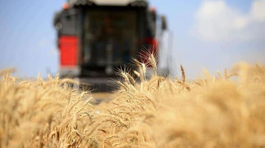 Moska: Nuk ka arsye për zgjatjen e marrëveshjes së grurit