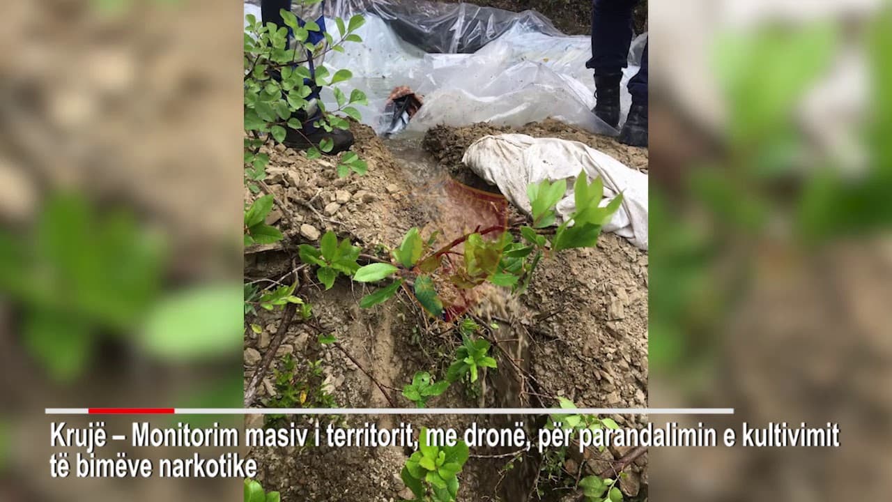 Aksioni i madh antidroge, FNSH kontroll në Krujë