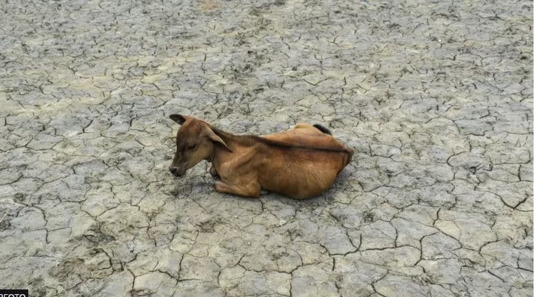 Bota shënon ditën më të nxehtë të regjistruar ndonjëherë