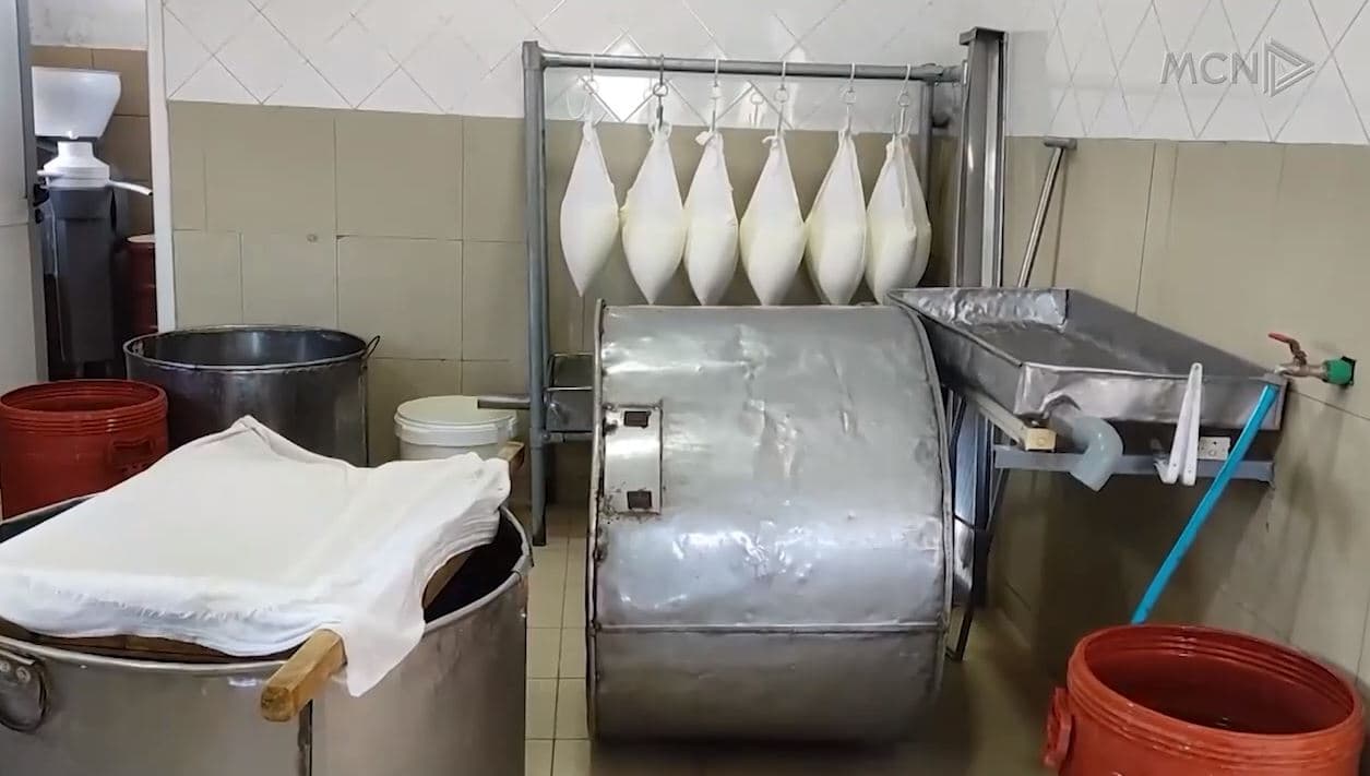 Certifikohet mjalti e djathi/ Jaupllari: Synojmë të promovojmë produktet shqiptare (VIDEO)