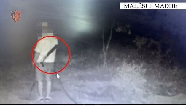 Emrat/ Parcelë me kanabis në Malësinë e Madhe, tre të arrestuar, në kërkim roja
