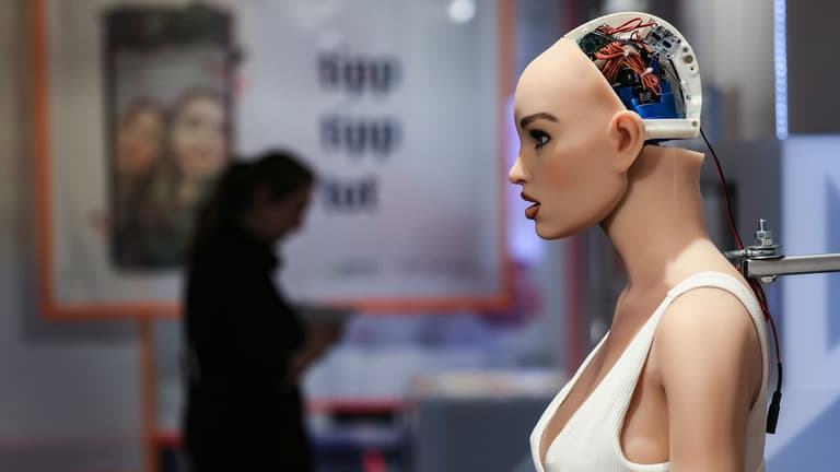Inteligjenca artificiale bën të gjalla kukullat e seksit  